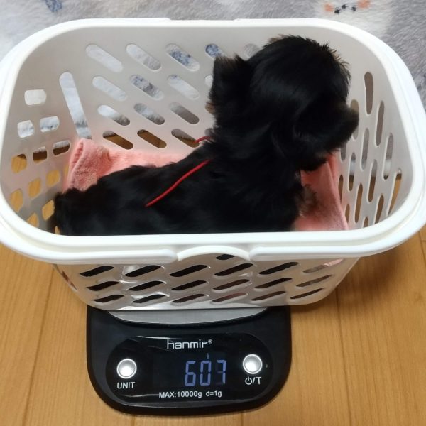 2月26日生まれ　赤ちゃん❤