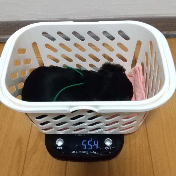 3月4日生まれ　ミドリくん🍈